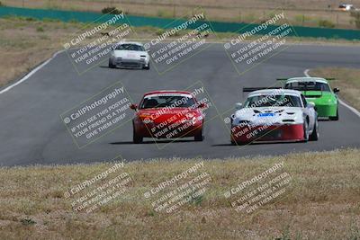 media/May-04-2024-Lucky Dog Racing (Sat) [[d39539b3f3]]/Race Pics/1015am (Turn 2)/